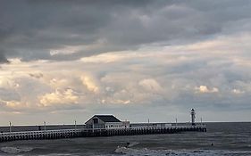 Etoile De Mer